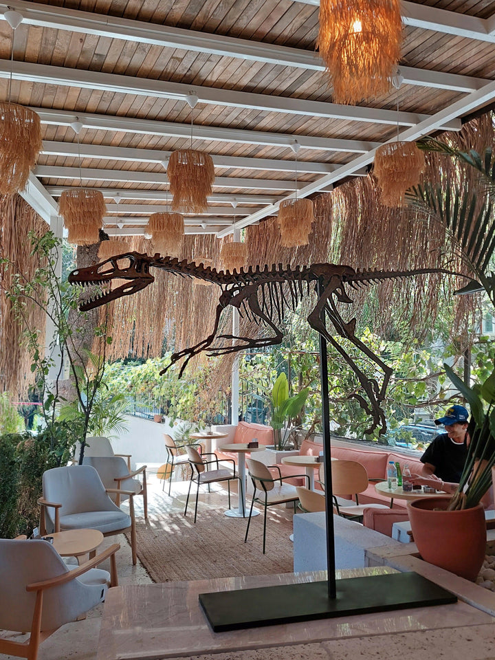 Velociraptor - Tam İskelet Heykeli Koleksiyon Hikayesi: Fosil bulgularına dayanan ve birebir ölçülerde tasarladığımız ikonik dinozorlardan Velociraptor heykelimizin ikincisi şimdi satışta! Özel ahşap standıyla birlikte sunulan bu seramik heykel, 1.7 metre