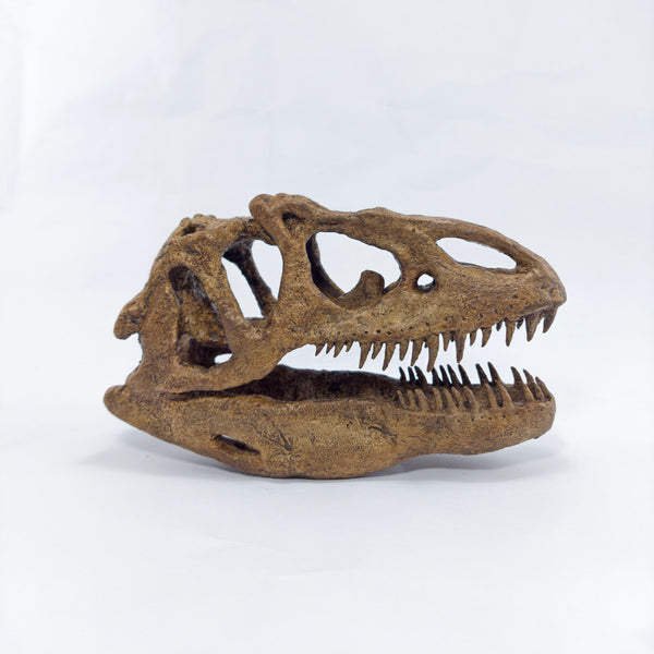 Allosaurus Mini Seramik Heykel