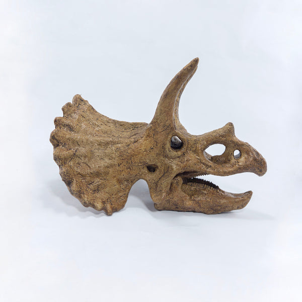 Triceratops Mini Seramik Heykel